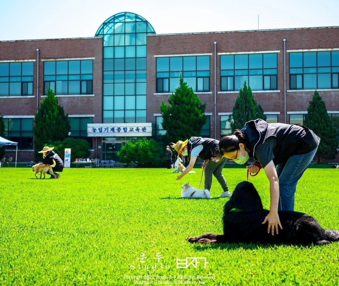 반려견과 함께하는 산학협력 야외 실습 현장