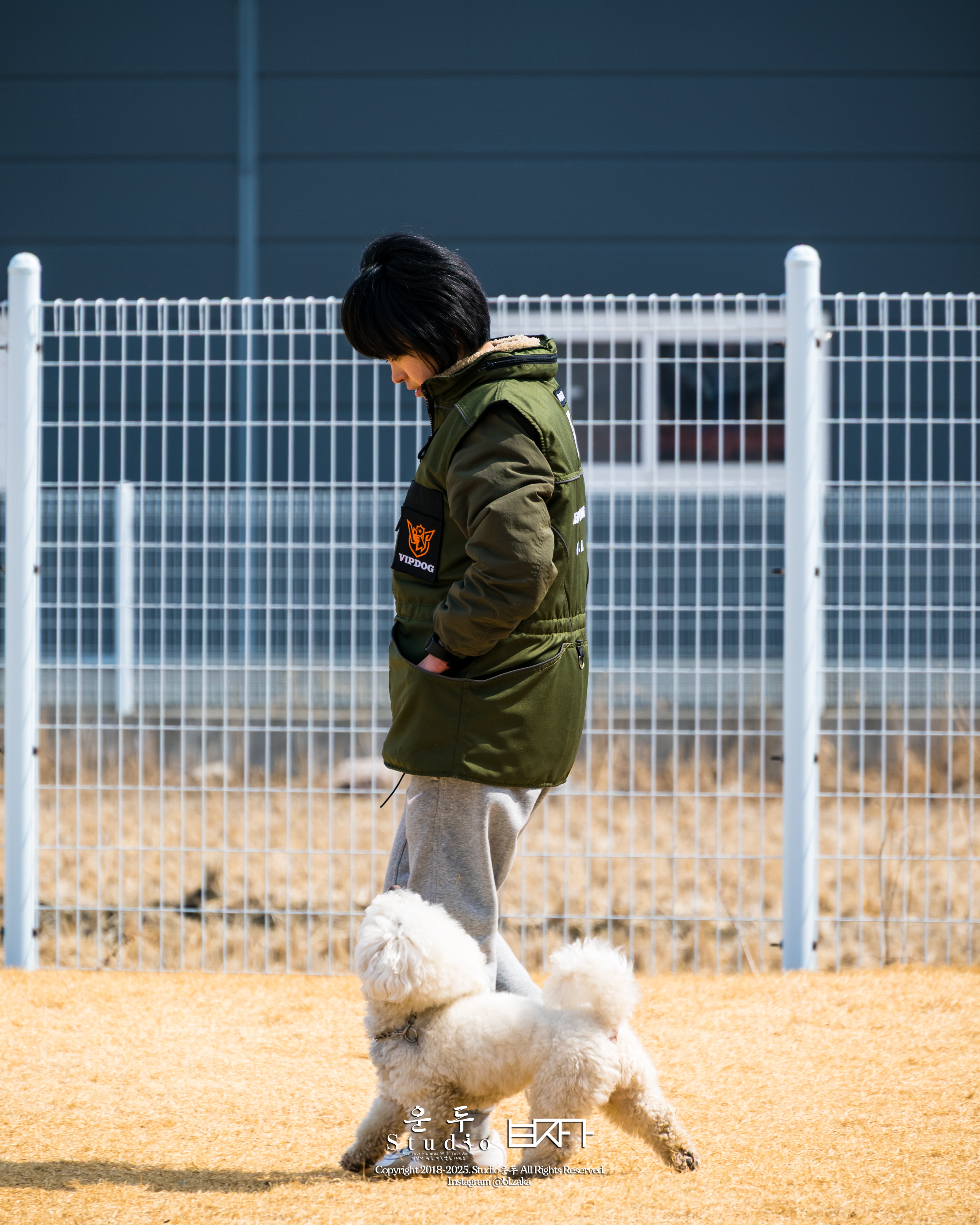 반려견과 함께하는 전문 1:1 트레이닝 현장